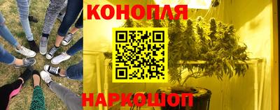 круглые Кингисепп