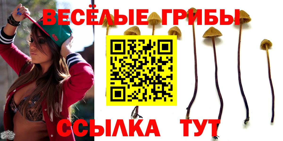 Галлюциногенные грибы Magic Shrooms Коряжма